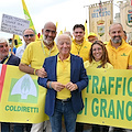 Crolla il prezzo del grano duro, 'rischio campi vuoti' Proteste agricoltori