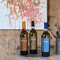 Da etichette a opere d'arte: le nuove linee della cantina irpina Donnachiara uniscono design, femminilità e cultura del vino