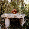 Nora Lux aprirà l'evento dedicato all'ambiente progetto Climate Change “ANTHROPOS E KAINOS” II