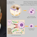 Tasuku Honjo oggetto di una bufala sul Coronavirus