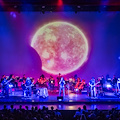 “The Wall Live Orchestra”: musica e visioni per una notte magica al Palazzo Mediceo