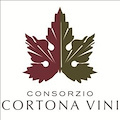 Wine&Siena: la Cortona Doc protagonista tra le eccellenze vinicole