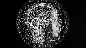 Neuralink, l'azienda di Musk che impianta microchip nel cervello