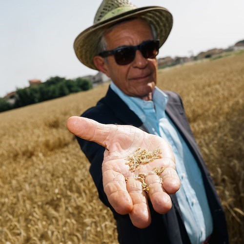 Arriva il Capodanno del Mugnaio, si festeggia assieme al Dipartimento di Agraria della Federico II