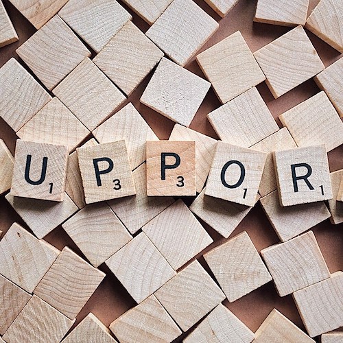 Supporto<br />&copy; Foto di WOKANDAPIX da Pixabay