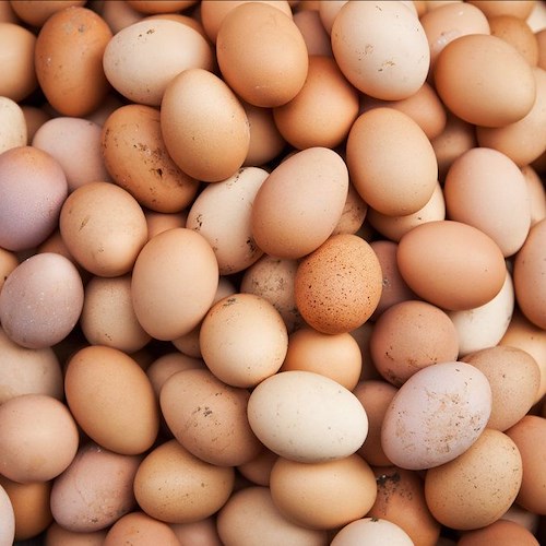 Aumentano i casi di salmonella, circa 200 milioni di uova ritirate dai mercati statunitensi