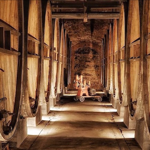Cantine Aperte: in Toscana i wine lovers per “il bello della Toscana”