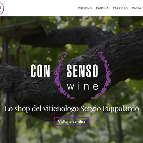 CON(SENSO)wine: con lo shop online si chiude il cerchio!