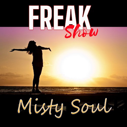 Freak Show presentano "Misty Soul" da ieri in radio e in digitale