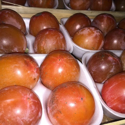 Frutta di stagione e non solo