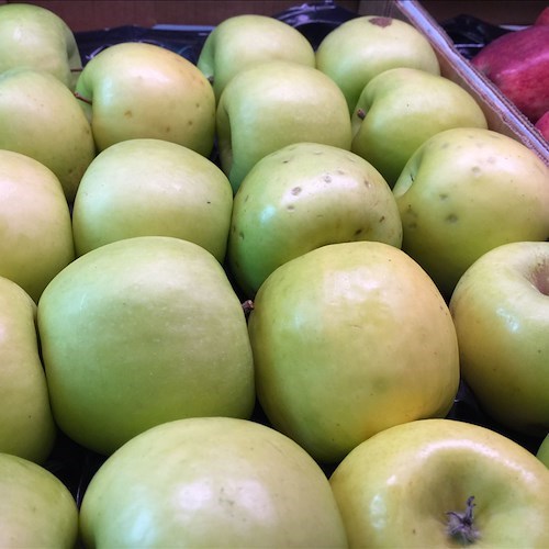 Frutta di stagione e non solo