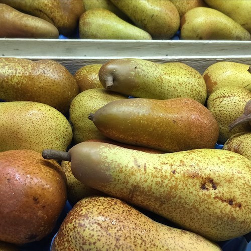 Frutta di stagione e non solo