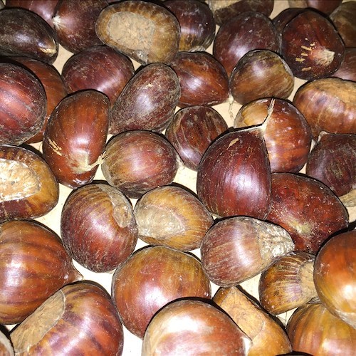 Frutta di stagione e non solo