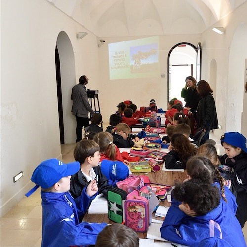 Gli alunni delle primarie di Capri alla scoperta delle proprietà dell'olivo e dell'olio nel laboratorio didattico a cura dell'Associazione Apeiron dedicato agli “Orti Certosini” presso la Certosa di San Giacomo. Ospite speciale questa volta al Museo