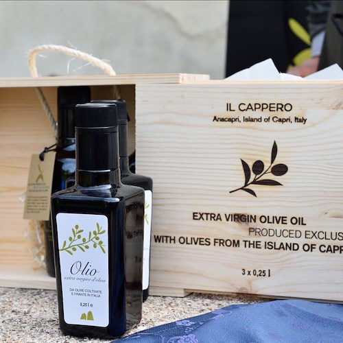 Gli alunni delle primarie di Capri alla scoperta delle proprietà dell'olivo e dell'olio nel laboratorio didattico a cura dell'Associazione Apeiron dedicato agli “Orti Certosini” presso la Certosa di San Giacomo. Ospite speciale questa volta al Museo