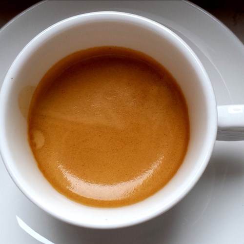 Il 1 ottobre si celebra la bevanda più consumata al mondo: la giornata mondiale del caffè quest'anno ha come tema la sostenibilità