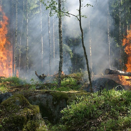 Incendi in Sardegna di origine dolosa: trovati inneschi