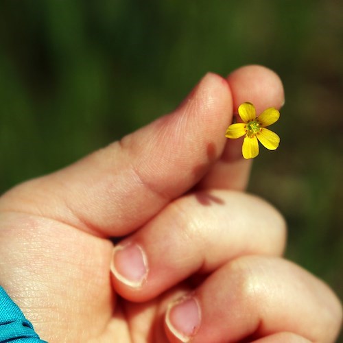 Ischia, Caritas raccoglie indumenti intimi e tute per bimbi