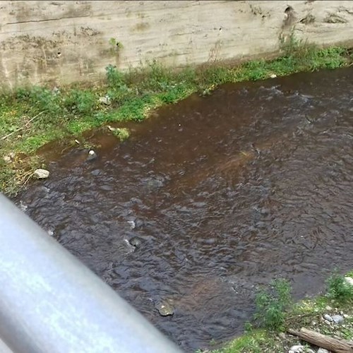 L'acqua del Tusciano è diventata completamente nera, l'inquinamento è un problema grave