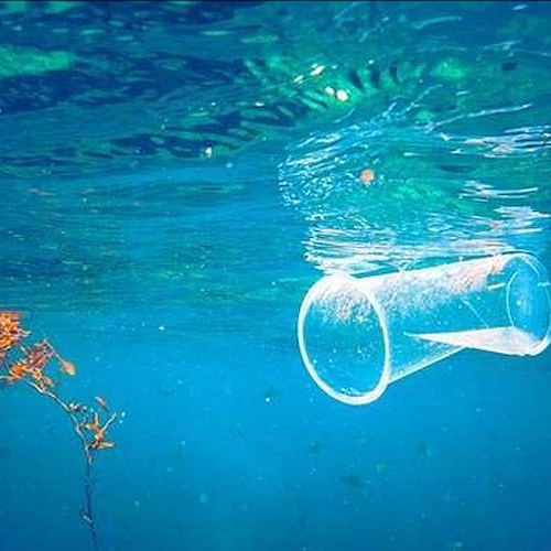 La Sicilia dice "NO" alla plastica: dopo Lampedusa e Malfa, anche Avola e Noto vietano l'uso di stoviglie monouso