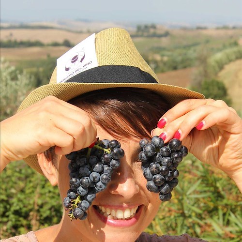 La vendemmia per tutti: Cantine Aperte svela il “vigneto Toscana”