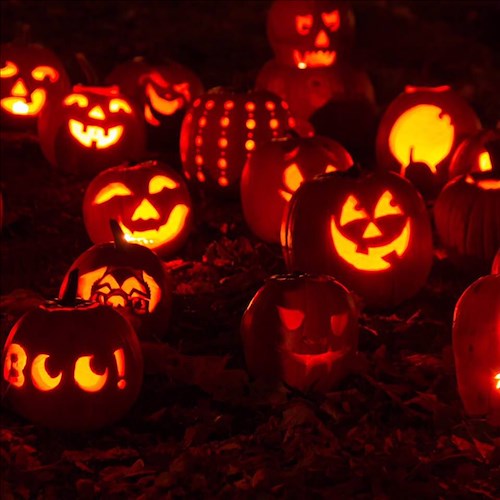 Le zucche non sono semplici decorazioni per Halloween, posseggono proprietà straordinarie