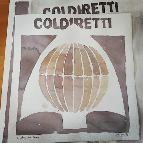 Maltempo in Emilia Romagna, Coldiretti al governo: "Necessari interventi indifferibili diretti"