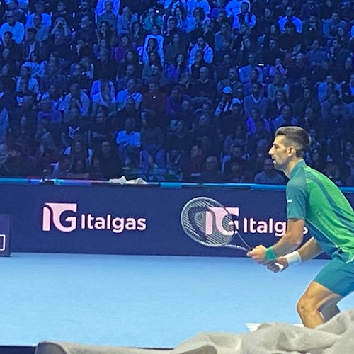 Novak Djokovic<br />&copy; Norman di Lieto