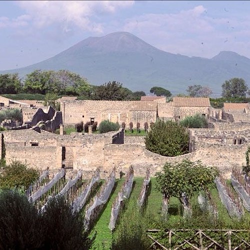 Ottobre mese di Vendemmia. A Pompei la XVIII edizione del tradizionale taglio dell’uve
