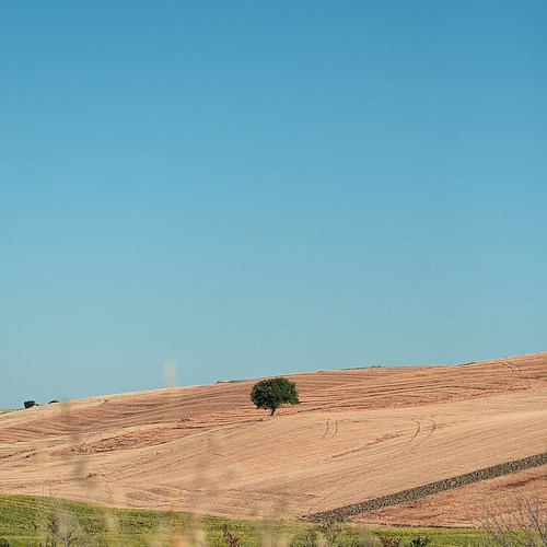 Puglia, abrogata la legge regionale che affidava le dune costiere ai privati