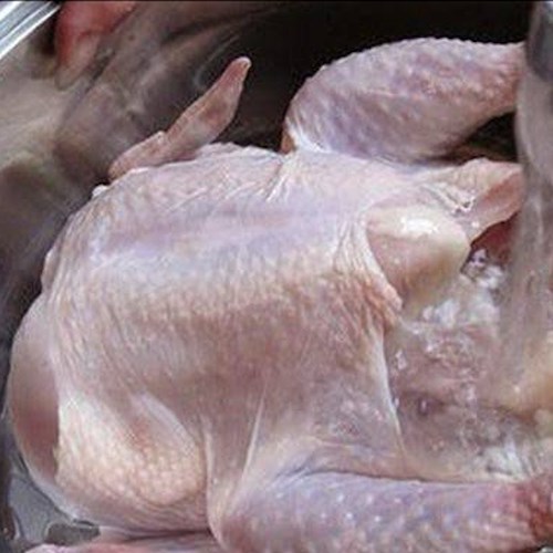 Regno Unito: lavare il pollo a mani nude potrebbe essere rischioso per la salute, l'allerta dell'Agenzia per la sicurezza alimentare