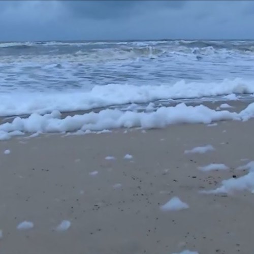 Schiuma a Marina Beach di Chennai in India, fenomeno pericoloso osservato anche in altre zone del mondo