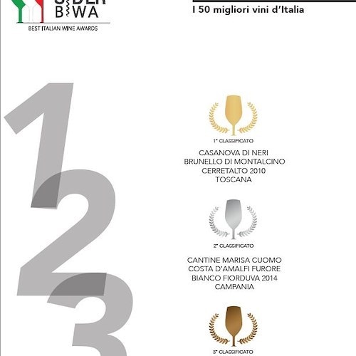 TWS BIWA 2016: BEST ITALIAN WINE AWARDS E THE WINESIDER