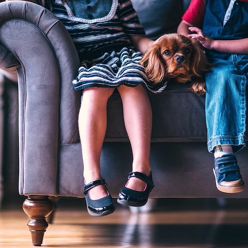 Un bambino su 3 in Italia è in sovrappeso, Campania al 44%