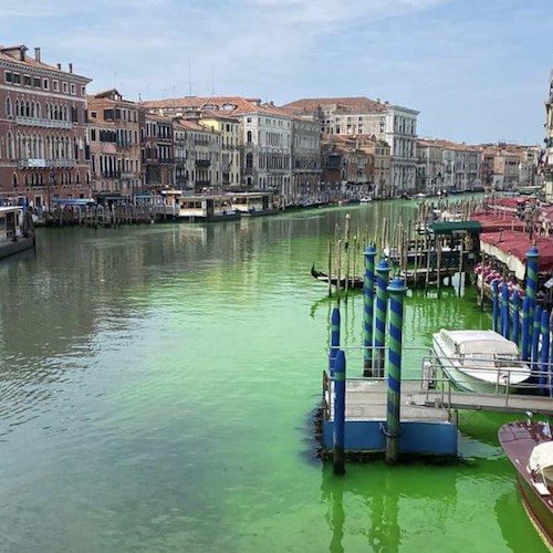 Venezia, sul Canal Grande appare chiazza verde. Zaia: "Si tratta di liquido tracciante"