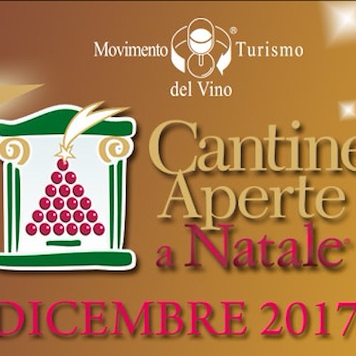 Vino Toscana Cantine Aperte a Natale: nelle aziende vitivinicole toscane porte aperte per i regali