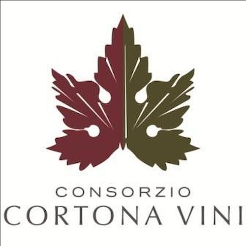 Wine&Siena: la Cortona Doc protagonista tra le eccellenze vinicole